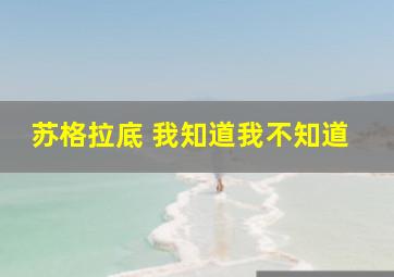 苏格拉底 我知道我不知道